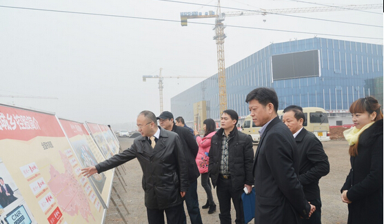 省评估验收组戴乐平一行莅临衡阳华耀城