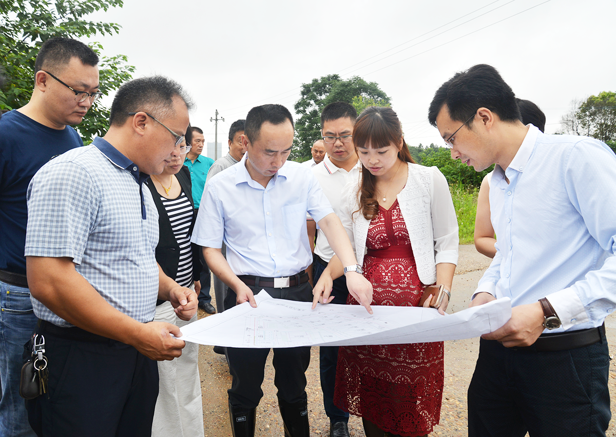 石鼓区委书记唐浩然一行考察华耀城片区，推动项目配套建设
