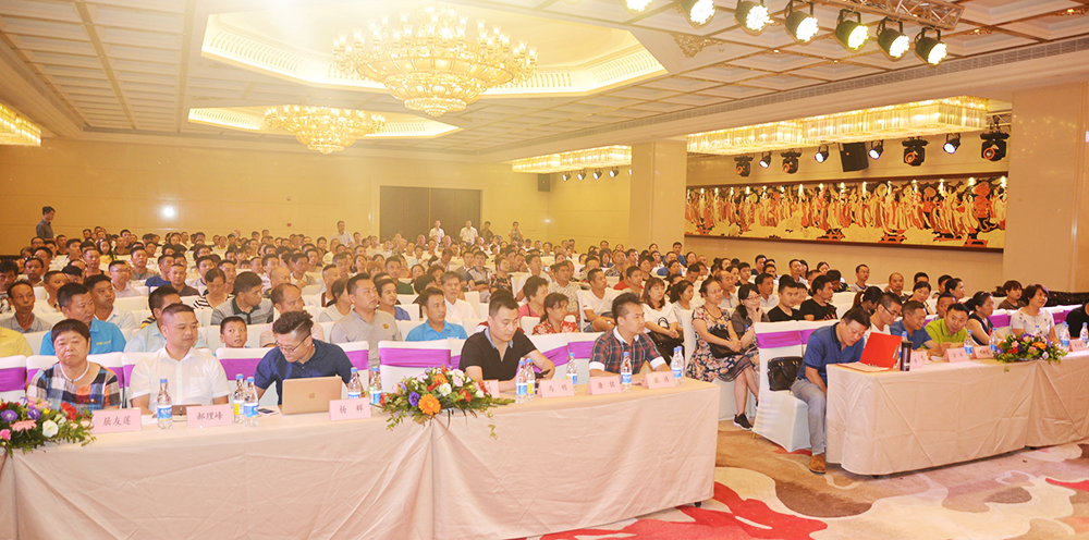 华耀城开业新闻发布会隆重举行，系列活动火热启程！