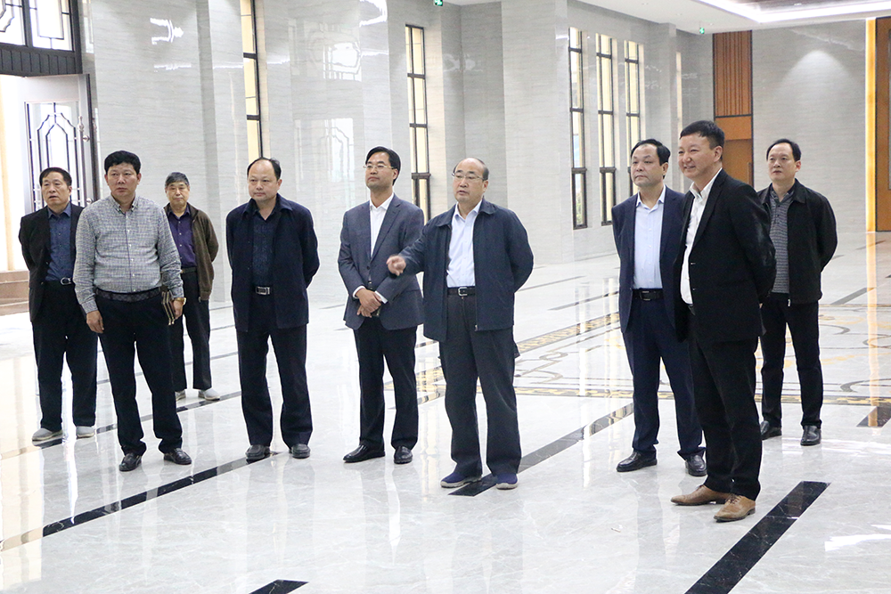 市委书记胡荃视察平顶山华耀城项目