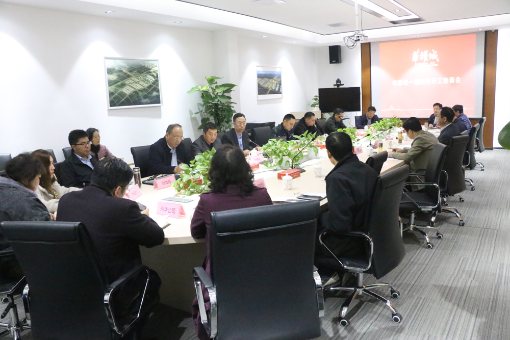 政企合力 共同推进 华耀城一期项目开工协调会召开