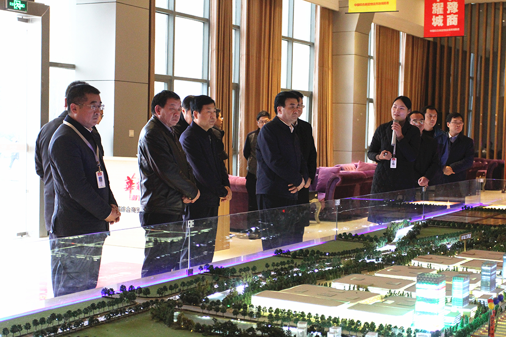 河南省副省长何金平一行莅临周口华耀城视察