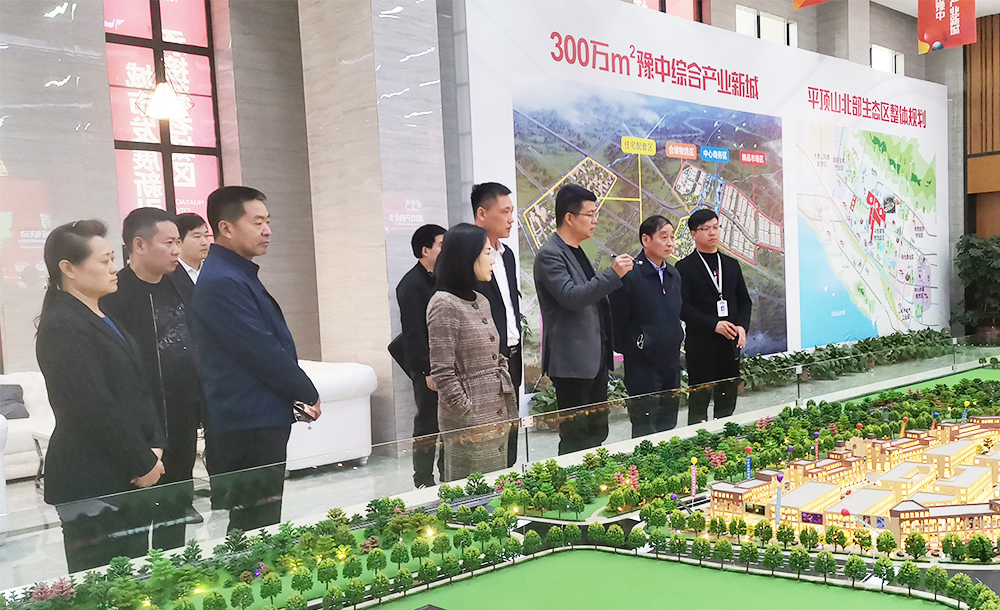 河南省商务厅领导一行莅临华耀城指导工作